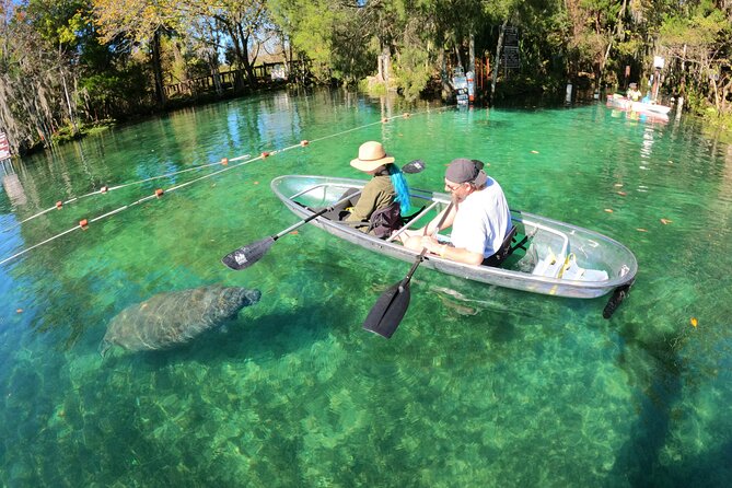 Clear Kayak Manatee Ecotour of Crystal River - Meeting point, timing, and getting kitted up without stress