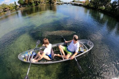 Clear Kayak Manatee Ecotour of Crystal River - What the 2-hour paddle feels like, start to finish