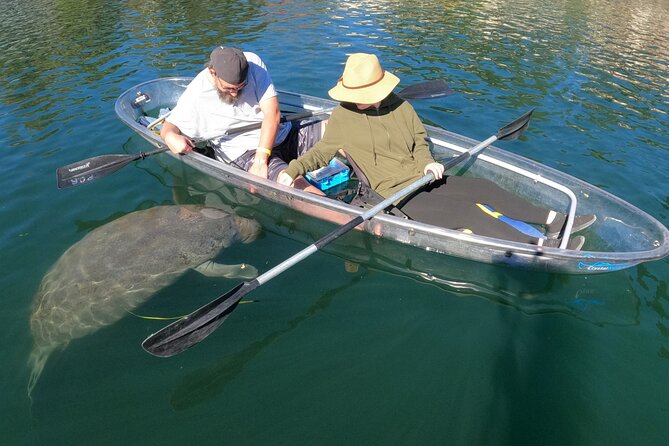 Clear Kayak Manatee Ecotour of Crystal River - Price and fees: where the real cost comes from