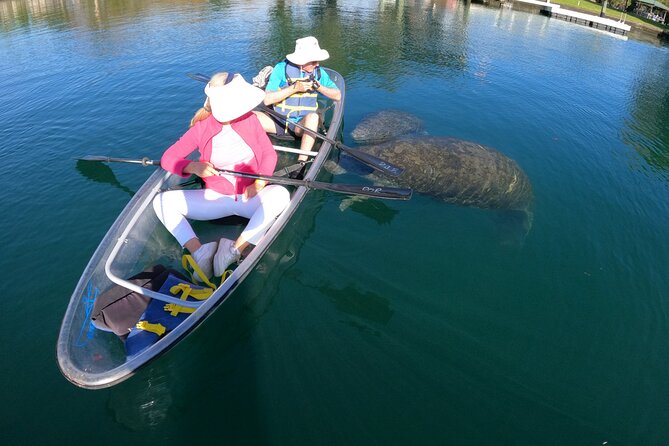 Clear Kayak Manatee Ecotour of Crystal River - Who this tour fits best (and who should adjust expectations)