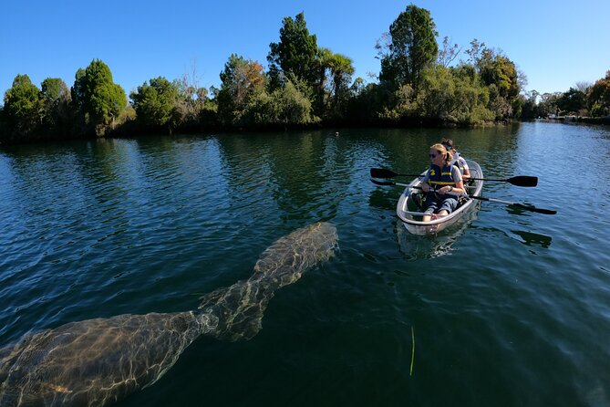 Clear Kayak Manatee Ecotour of Crystal River - Comfort on the water: what to wear and how wet you’ll get