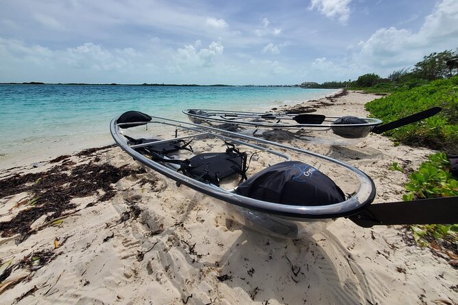 Clear Kayak Mangrove Eco Tour - Key takeaways before you go