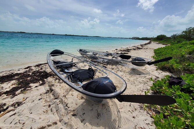 Clear Kayak Mangrove Eco Tour - The Mangrove Route: Red Mangroves and Wildlife Encounters