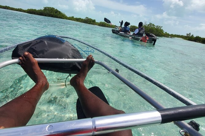 Clear Kayak Mangrove Eco Tour - Price and Logistics for a Single Kayak Per Ticket