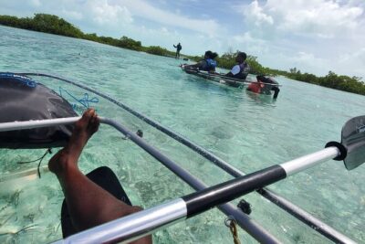 Clear Kayak Mangrove Eco Tour - Little Water Cay for Rock Iguanas: The Short Stop That Counts
