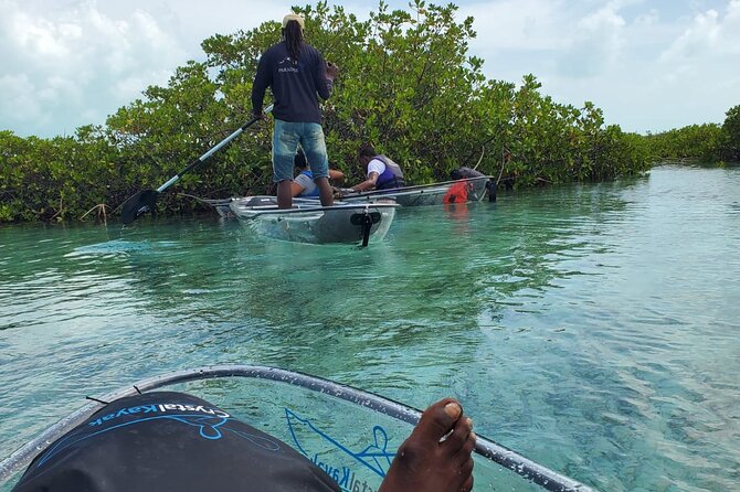 Clear Kayak Mangrove Eco Tour - What the 2-Hour Pacing Feels Like