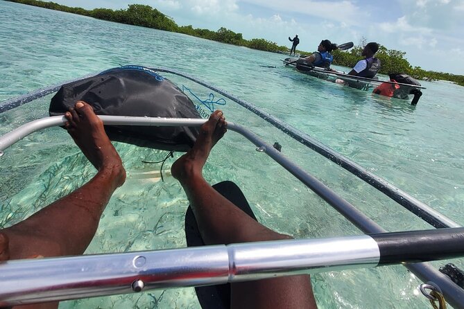 Clear Kayak Mangrove Eco Tour - Pickup, Small Group Size, and the Weather Factor