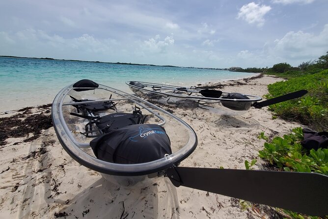 Clear Kayak Mangrove Eco Tour - Who This Tour Fits Best (and Who Should Skip)