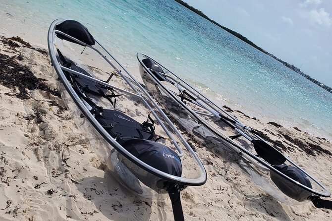 Clear Kayak Mangrove Eco Tour - Should You Book the Clear Kayak Mangrove Eco Tour?