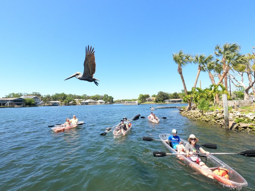 Clear Kayak Three Sisters Springs Ecotour of Crystal River - Before You Paddle: Check-In, Required Video, and Where to Meet
