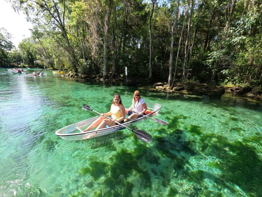 Clear Kayak Three Sisters Springs Ecotour of Crystal River - Price and Value: Is $84 for Two Hours Worth It?