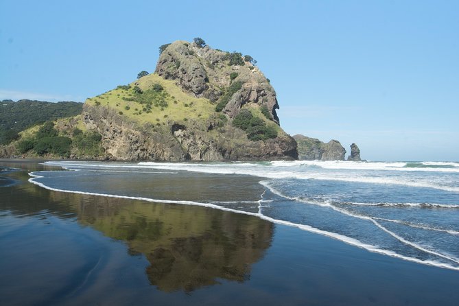 Coast and Rainforest Eco-Tour from Auckland with Picnic Lunch - West Coast Views From Auckland: A Tight Itinerary That Feels Unhurried