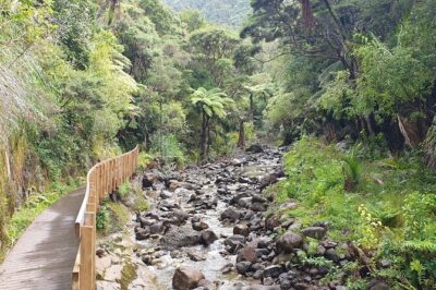 Coast and Rainforest Eco-Tour from Auckland with Picnic Lunch - Arataki Visitor Centre: The Gateway Lookout Over Two Oceans