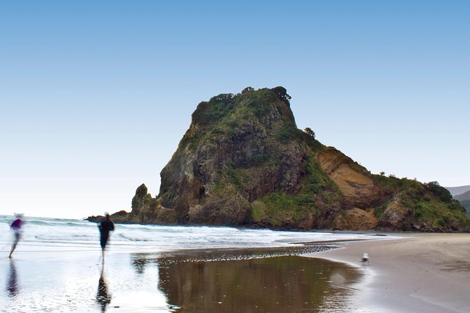 Coast and Rainforest Eco-Tour from Auckland with Picnic Lunch - Waitakere Ranges Rainforest Walk: Giant Kauri and Bird-Ears Time