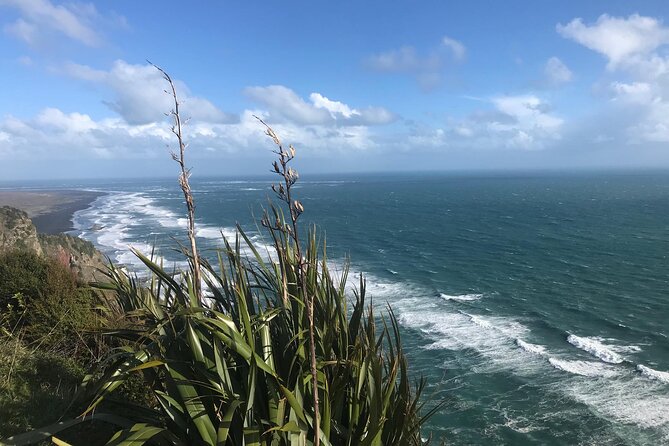 Coast and Rainforest Eco-Tour from Auckland with Picnic Lunch - Guide Energy Matters: From Paul to Annie, You’ll Feel Like It’s Your Day