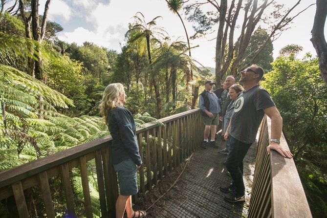 Coast and Rainforest Eco-Tour from Auckland with Picnic Lunch - Who This Tour Suits Best (and Who Should Skip It)