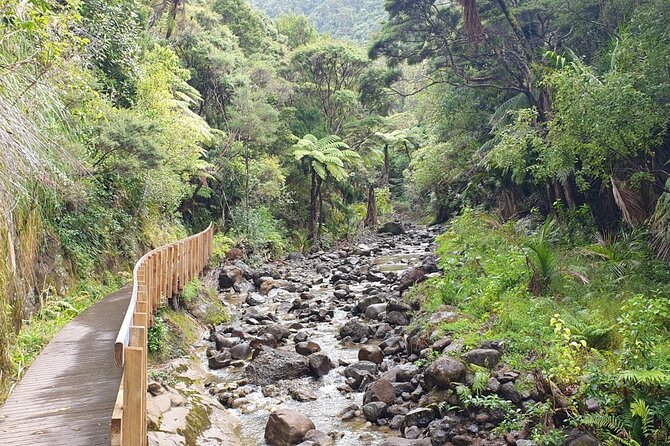 Coast and Rainforest Eco-Tour from Auckland with Picnic Lunch - Arataki Visitor Centre: The Gateway Lookout Over Two Oceans