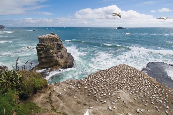 Coast to Coast Private Eco Tour - Key highlights you’ll care about