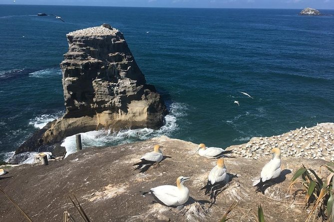 Coast to Coast Private Eco Tour - Lunch at Riverhead Historic Tavern: The Midday Reset You’ll Appreciate