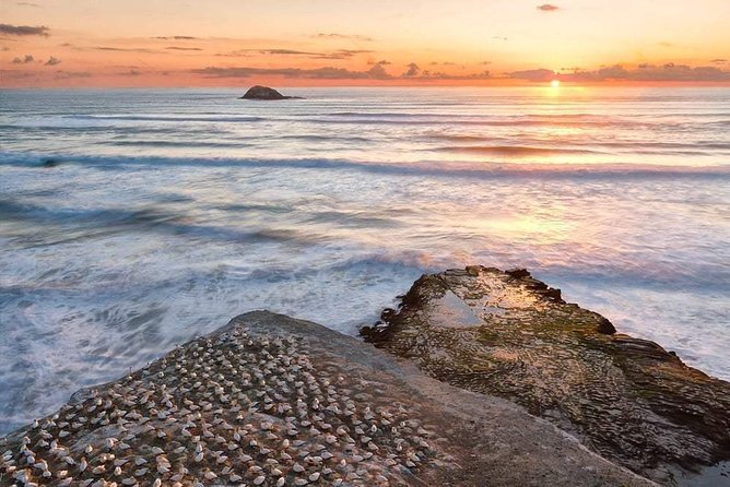 Coast to Coast Private Eco Tour - Is This Coast-to-Coast Eco Tour Right for You?