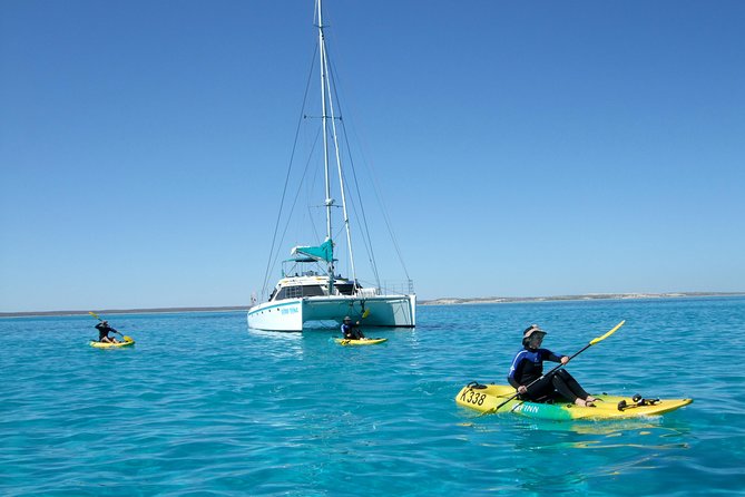 Coral Bay 3-Hour Turtle Ecotour - Turtle Time: How the Crew Improves Your Chances