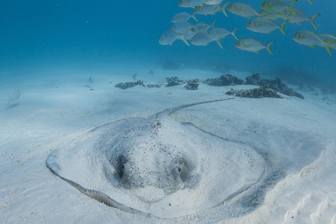 Coral Bay 3-Hour Turtle Ecotour - Timing, Group Size, and the Pace of a 3-Hour Tour