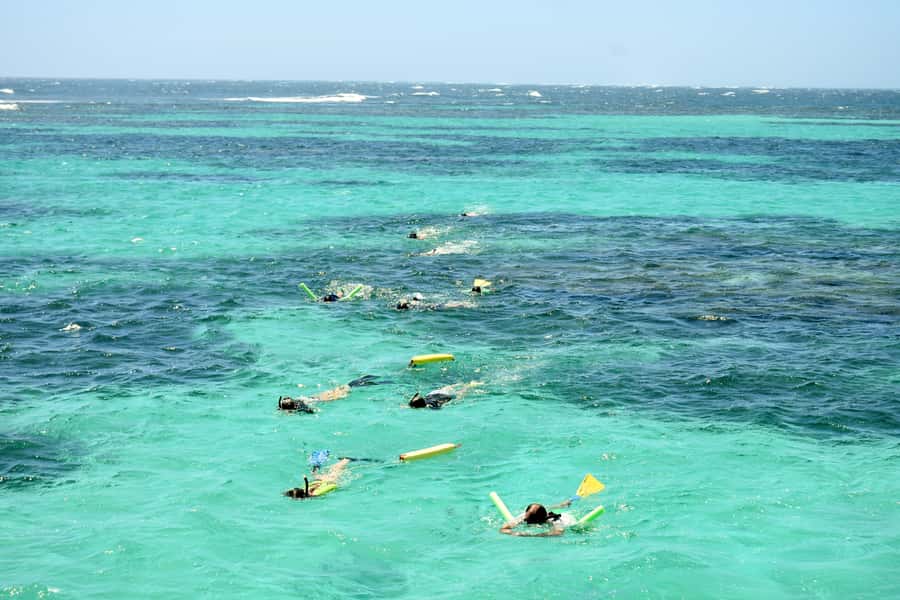 Coral Bay: Ningaloo Reef 3-Hour Turtle Ecotour - The turtle sanctuary stop: why it’s more than a photo stop