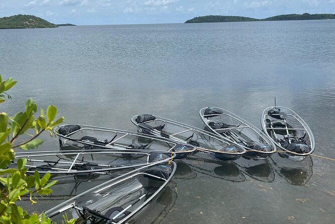 Crystal Kayak & Snorkel Eco Tour (with transfer) - Starting at 9:00 am and meeting back in Willikies
