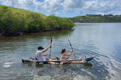 Crystal Kayak & Snorkel Eco Tour (with transfer) - The glass kayak experience: calm mangroves and a real workout