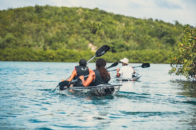 Crystal Kayak & Snorkel Eco Tour (with transfer) - Facilities and finishing touches: showers, snacks, and rum punch