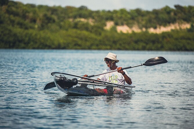 Crystal Kayak & Snorkel Eco Tour (with transfer) - Should you book Crystal Kayak & Snorkel?