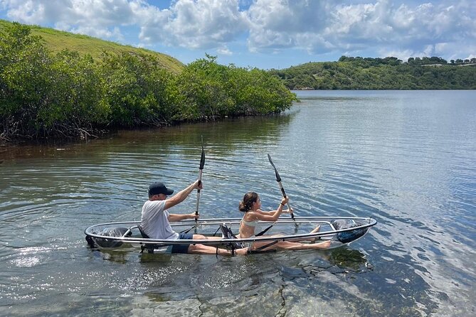 Crystal Kayak & Snorkel Eco Tour (with transfer) - The glass kayak experience: calm mangroves and a real workout