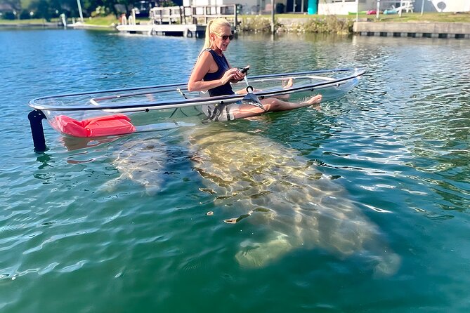 Crystal River: Three Sisters Manatee Clear Kayak Tour Free Photos - Crystal River Clear Kayak Tour: The Big Idea