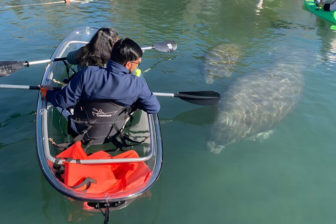 Crystal River: Three Sisters Manatee Clear Kayak Tour Free Photos - Key Points You’ll Actually Care About
