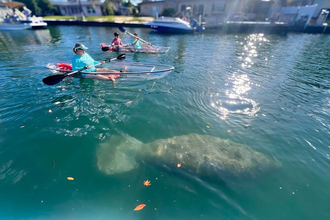 Crystal River: Three Sisters Manatee Clear Kayak Tour Free Photos - Where You Start: Kaceys Custom Adventures and Getting Ready