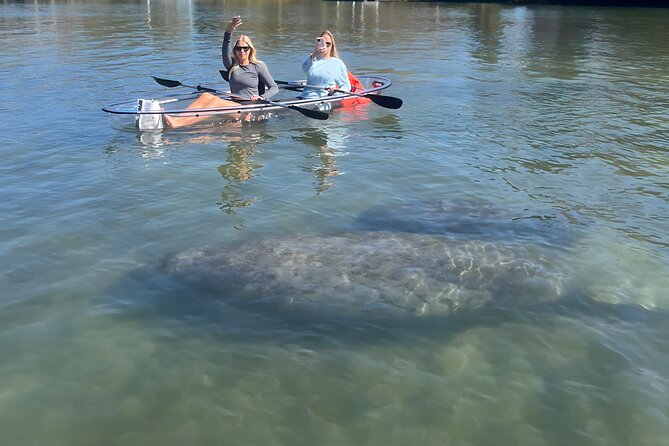 Crystal River: Three Sisters Manatee Clear Kayak Tour Free Photos - The Clear-Kayak Advantage: What You Gain by Looking Down