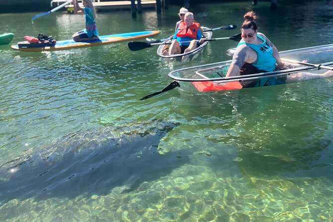 Crystal River: Three Sisters Manatee Clear Kayak Tour Free Photos - Guides Who Add Context, Not Just Directions