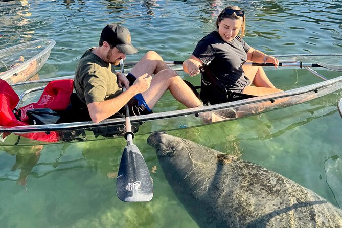 Crystal River: Three Sisters Manatee Clear Kayak Tour Free Photos - Kings Bay From a Clear Kayak: What the 2 Hours Feels Like