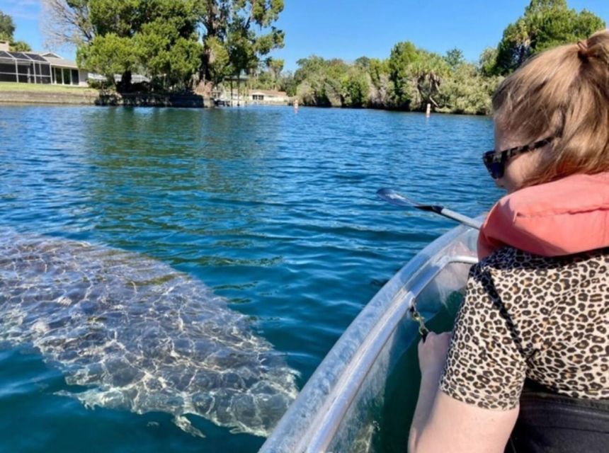 Crystal River: Three Sisters Springs Eco Tour by Clear Kayak - Where Your 2-Hour Kayak Trip Starts at Pete’s Pier Marina