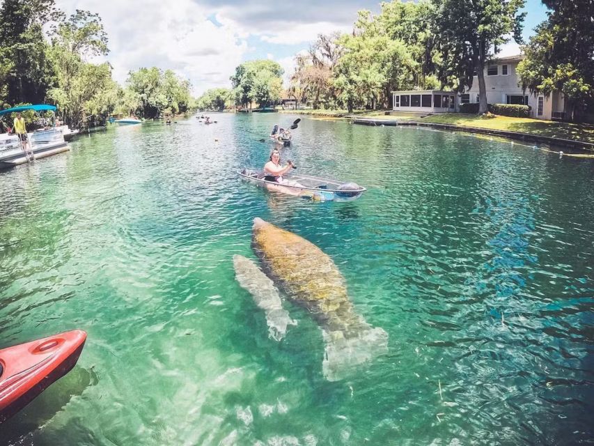 Crystal River: Three Sisters Springs Eco Tour by Clear Kayak - Guide Energy Makes a Difference: RJ, Jax, Kyle, Olivia, Josh, Julia, and Cypress