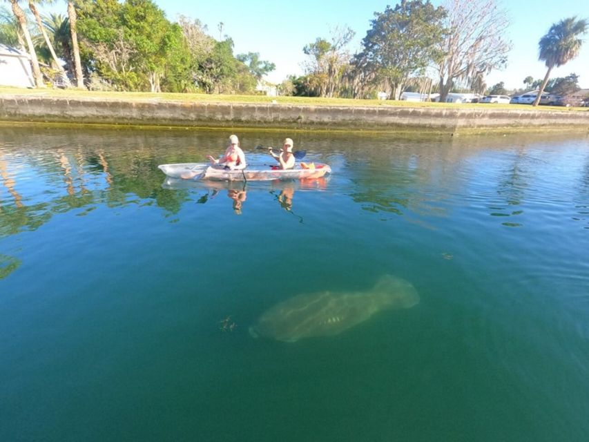Crystal River: Three Sisters Springs Eco Tour by Clear Kayak - Practical Tips to Make Your Tour Run Smooth