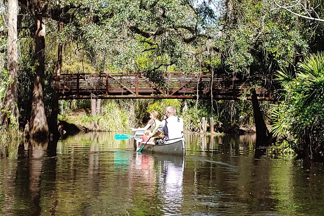 Cypress Forest: Guided Nature Kayak Eco-Tour - From Hwy 192 to Shingle Creek’s calm launch