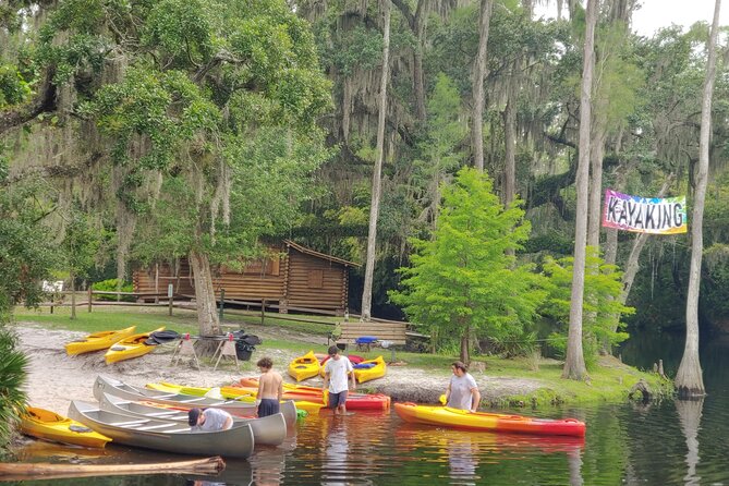 Cypress Forest: Guided Nature Kayak Eco-Tour - Wildlife spotting without the pressure to “perform”