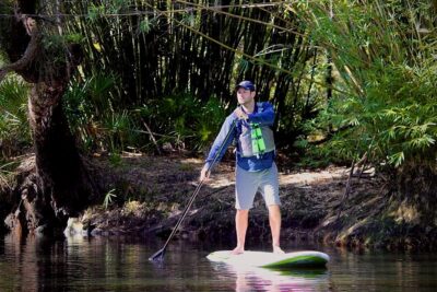 Cypress Forest: Guided Nature Kayak Eco-Tour - Old-growth cypress and the Florida you don’t see from a road