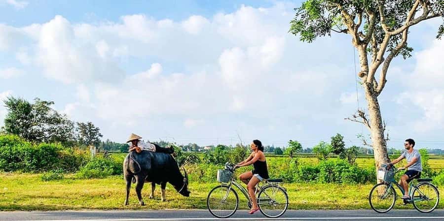 Da Nang or Hoi An: Countryside Bike & Basket Boat Tour - Key highlights to know before you go
