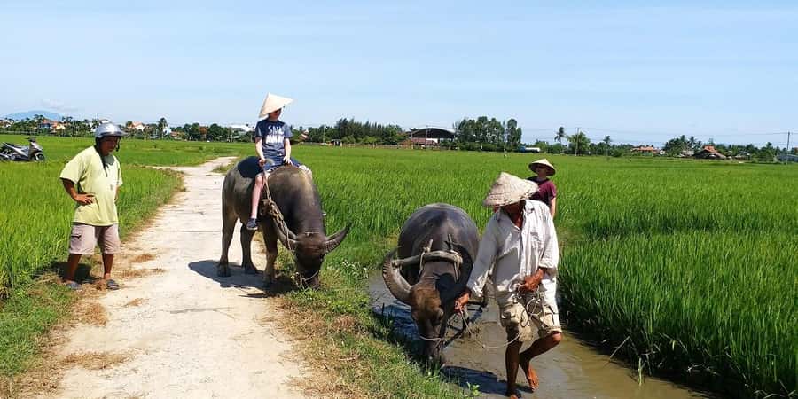Da Nang or Hoi An: Countryside Bike & Basket Boat Tour - Choosing between Da Nang and Hoi An pickup
