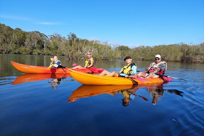 Daytime Kayak Eco Tour of New South Wales - Key highlights worth knowing before you go