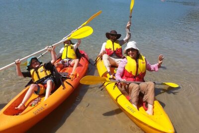 Daytime Kayak Eco Tour of New South Wales - Getting on the water: sit-on-top kayaks, safety gear, and coaching