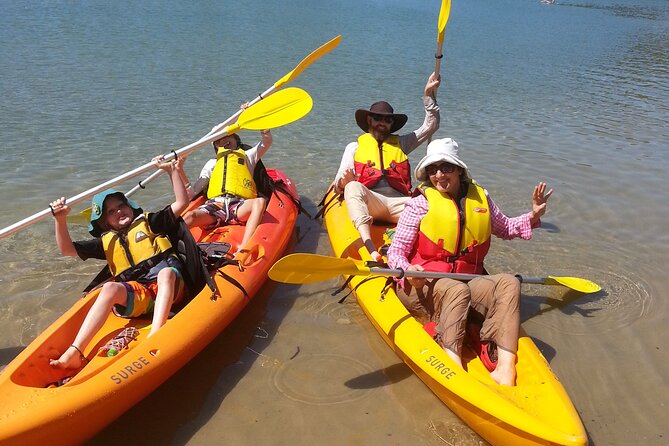 Daytime Kayak Eco Tour of New South Wales - Getting on the water: sit-on-top kayaks, safety gear, and coaching