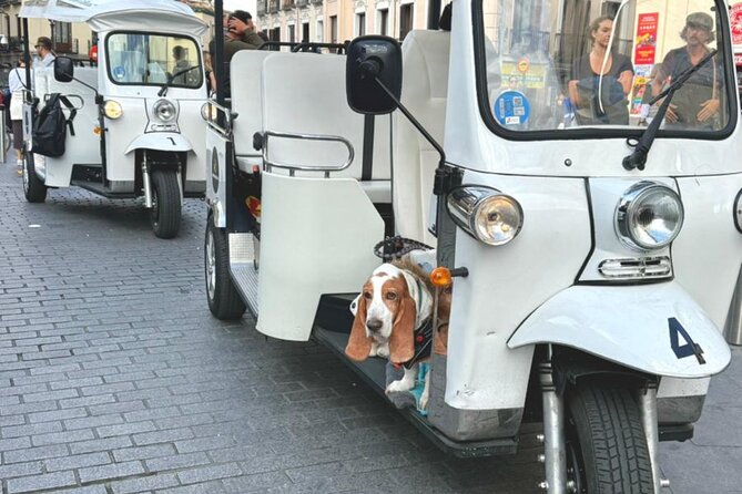 Discover Madrid in a Fun & Eco-Friendly Tuk-Tuk – Private Tour - Who This Madrid Tuk-Tuk Tour Suits Best